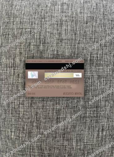 Equatorial Guinea CCEI bank visa electron card photolook back